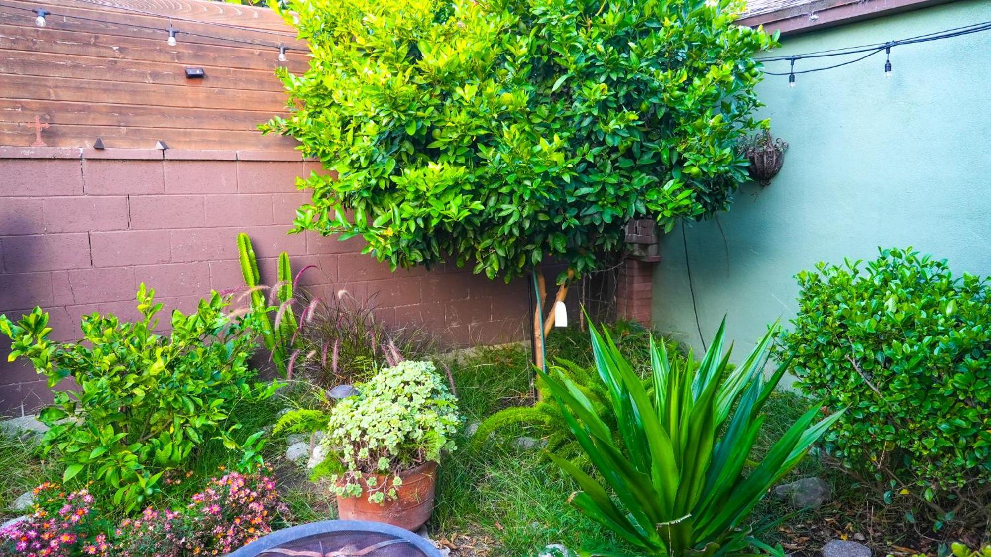 Cozy Private Guest House Los Angeles Dış mekan fotoğraf